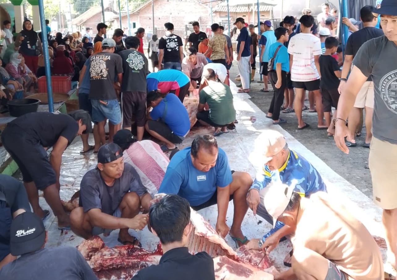 Yayasan Masjid Roudlotul Abidin Bagikan 600 Kg Daging Kurban, Panitia: Wujud Syukur Atas Nikmat Allah