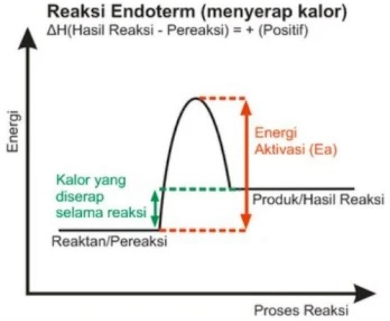 Reaksi Endoterm: Saat Panas Lingkungan Terserap ke Dalam Sistem