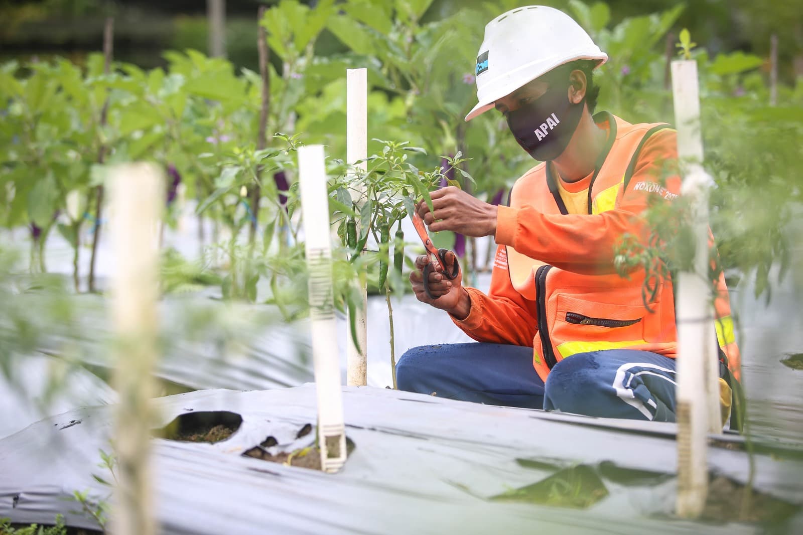 Genjot Ekonomi Sirkuler, MIND ID Bersama Masyarakat Ubah Sampah Menjadi Produk Bernilai
