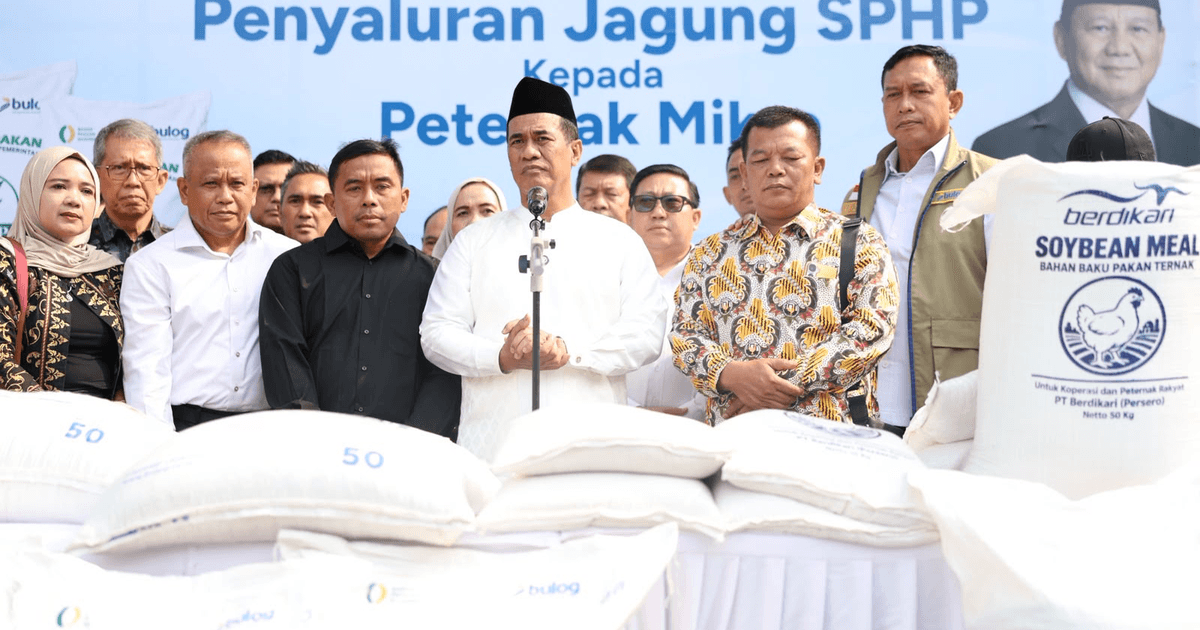 Pemerintah Salurkan 150.000 Ton Jagung SPHP, Ini Sasarannya