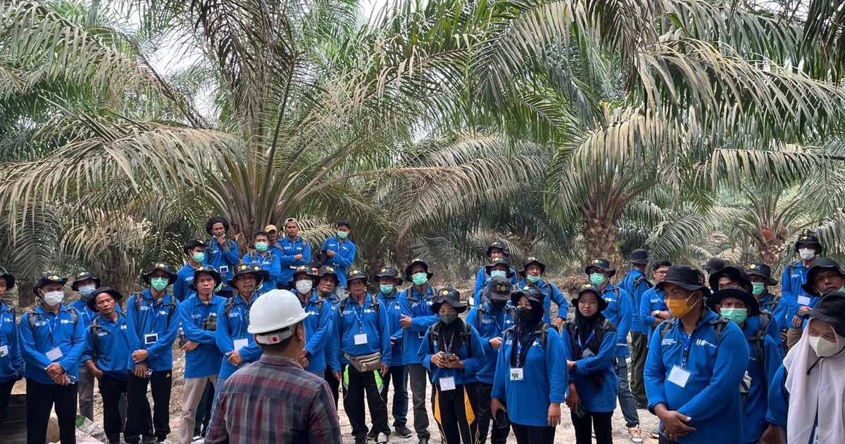 PTPN IV PalmCo Latih 211 Petani Sawit Swadaya di Jambi