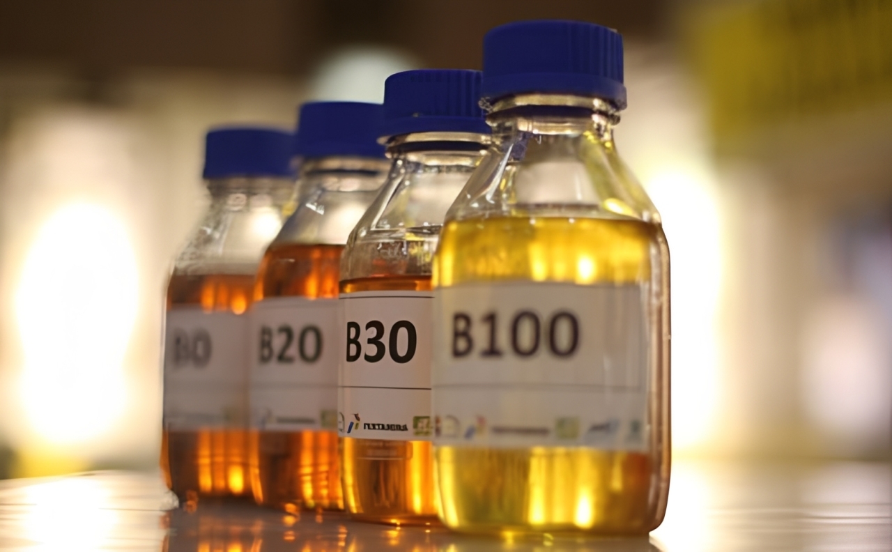Apa Perbedaan Biodiesel dan Bioetanol