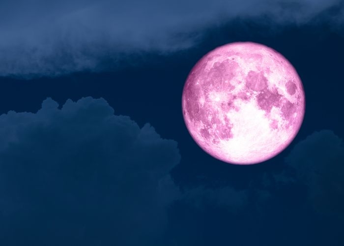 Kapan Pink Moon 2026 Berlangsung? Catat Tanggal dan Jam Puncaknya!
