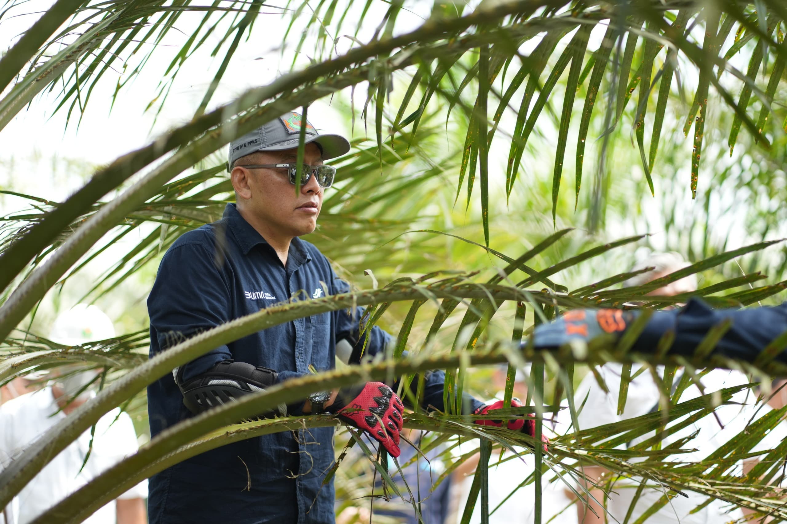 BMKG Prediksi El Nino, PalmCo Perkuat Mitigasi Karhutla dan Produksi