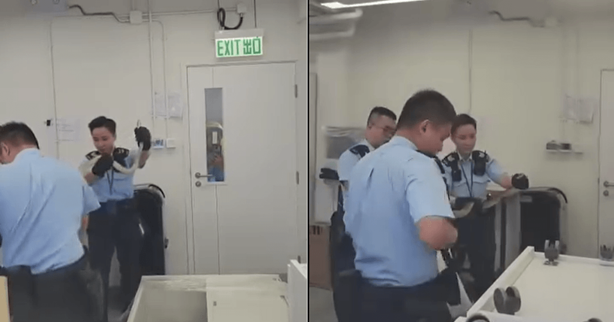 Aksi Polisi Wanita Hong Kong Tangkap Ular 1,6 Meter Viral di Media Sosial