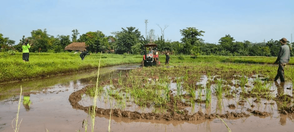 Kementan Uji Coba B50 untuk Alsintan, Bioreaktor Biodiesel Disiapkan