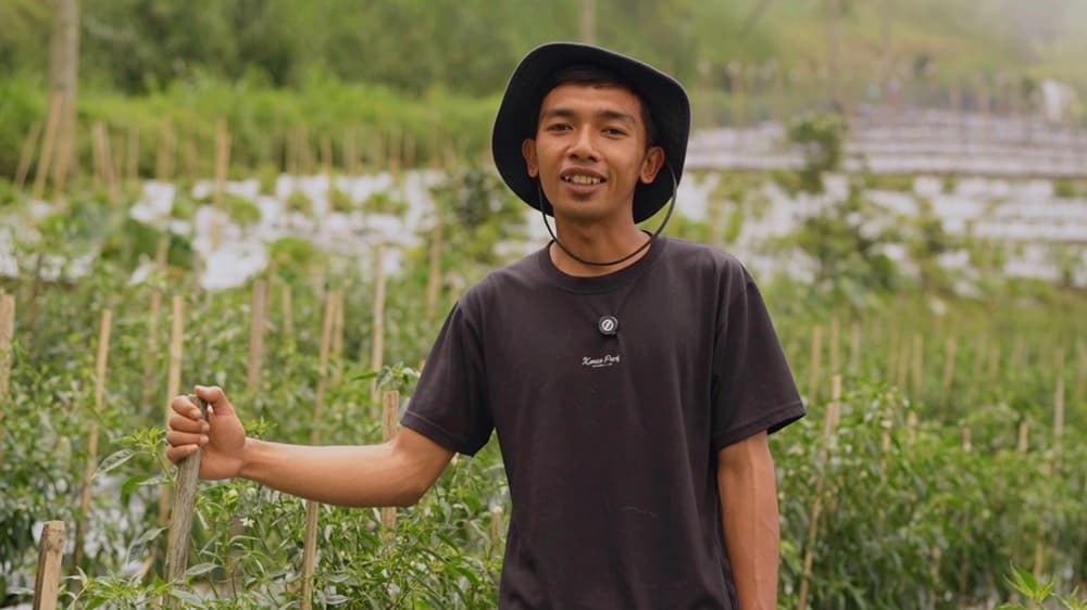 Petani Akui Harga Sayur Lebih Stabil Setelah Ada MBG, Harap Program Terus Berlanjut