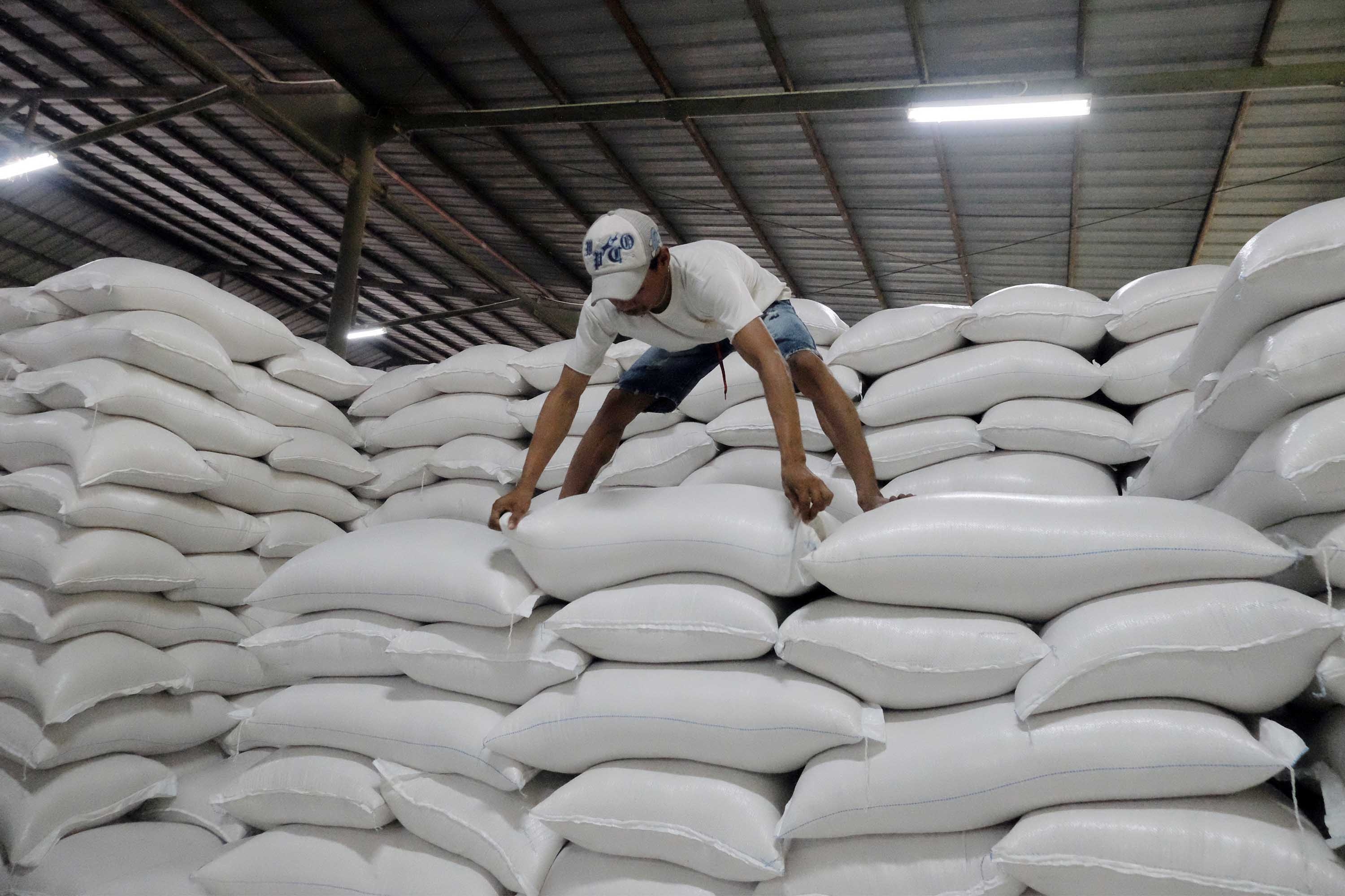 Cadangan Beras Capai 5 Juta Ton Peluang Percepatan Swasembada Pangan