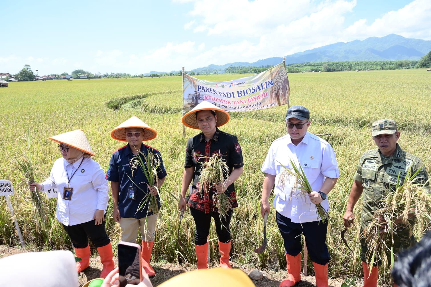 CSR PGN dan BRIN Dorong Panen Padi Biosalin Jepara Melebihi Target