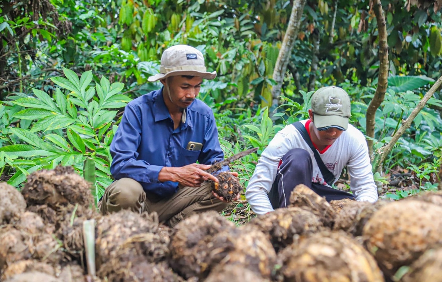 Astra Dorong Komoditas Lokal Tembus Pasar Global, Tingkatkan Pendapatan Warga Desa
