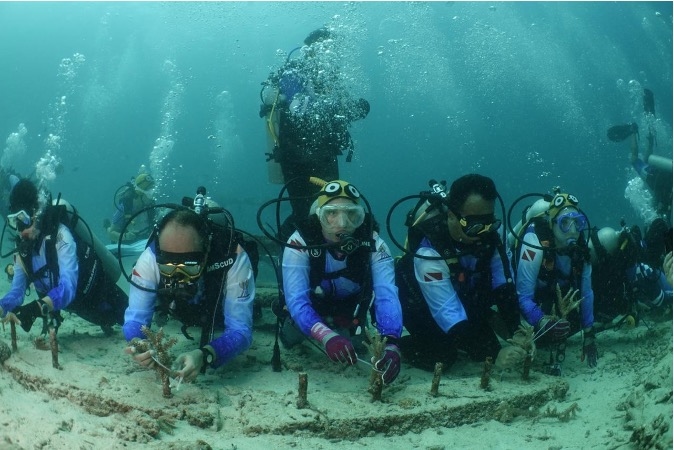 Pulihkan Ekosistem Wisata Laut di Aceh, Pekerja BRI Lakukan Transplantasi Terumbu Karang di Perairan Kepulauan Sabang