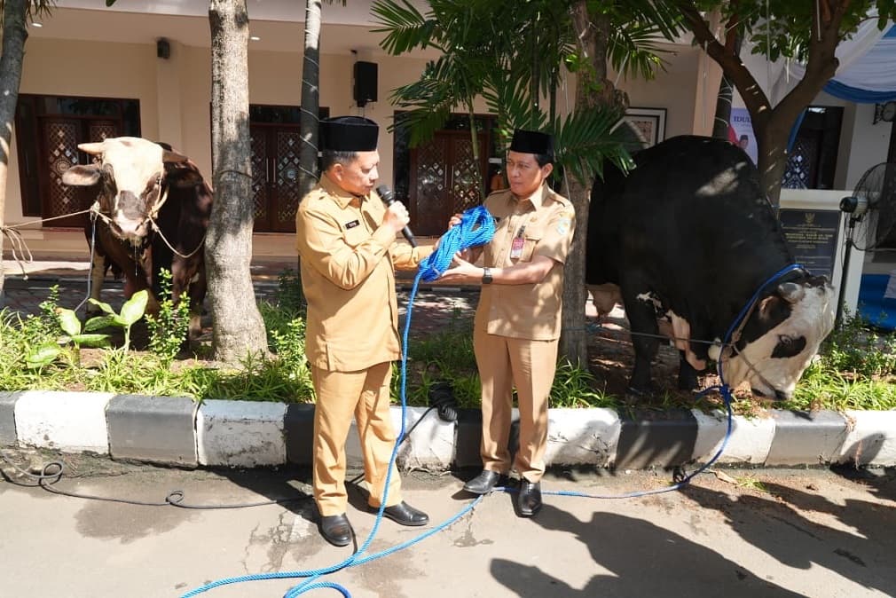Perkuat Kepedulian Sosial, Mendagri Minta Penyaluran Daging Kurban Optimal dan Tepat Sasaran