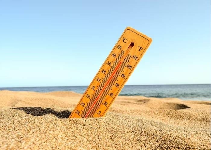 7 Cara Tetap Sehat Saat Cuaca Panas Ekstrem, Hindari Dehidrasi dan Heat Stroke