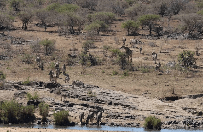 Tragis! Pertanyaan soal Senapan Berujung Kematian Turis Kanada di Afrika Selatan