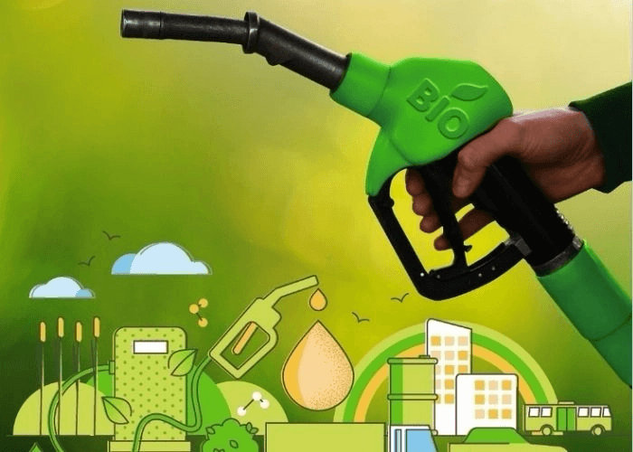 Bebas Cukai Saja Tak Cukup, Ini PR Besar Agar Bioetanol E10 Jalan