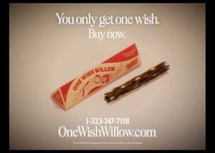 Apa Itu One Wish Willow? Mengenal Ranting Pengabul Permintaan dalam Film Obsession yang Viral