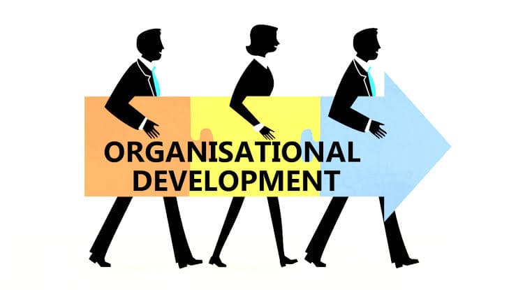 Apa Tugas Organizational Development (OD)
