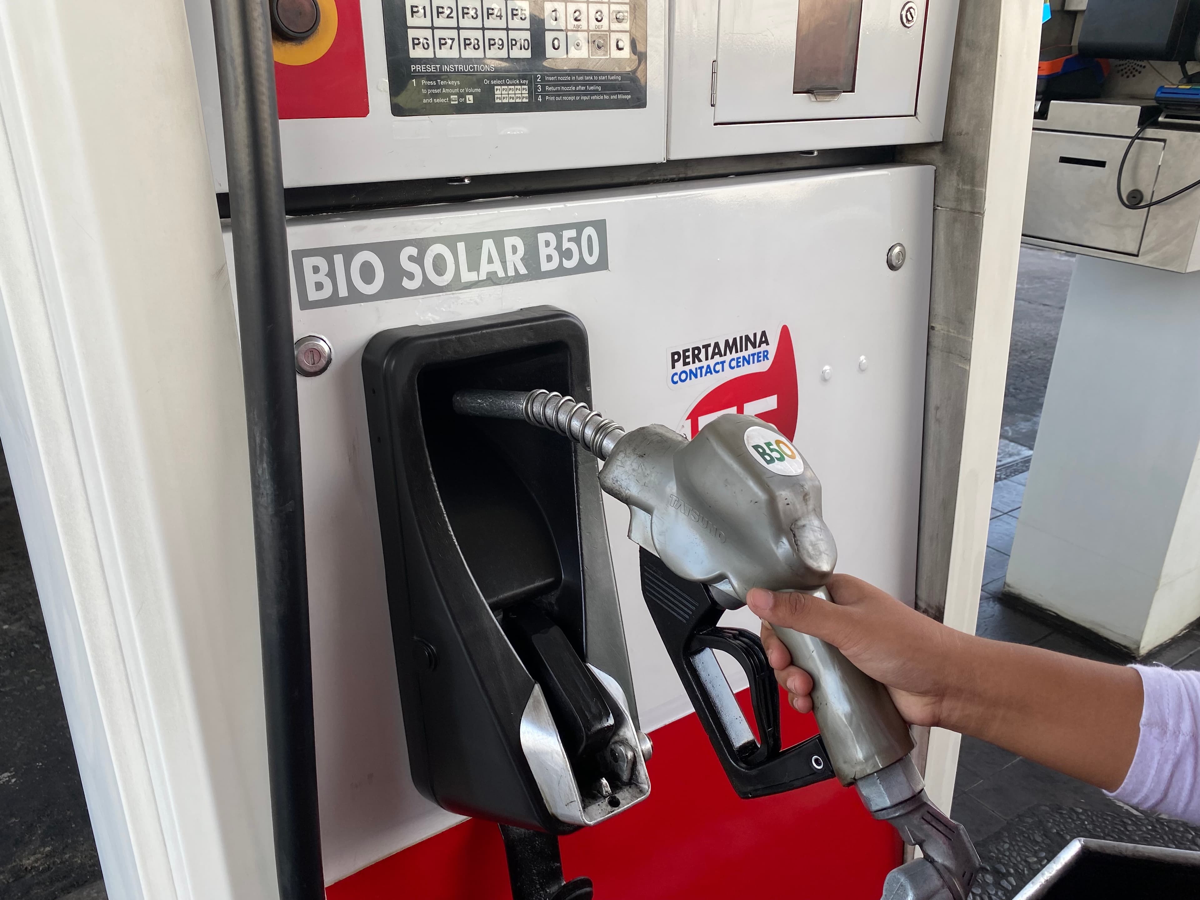B50 Resmi Jalan, Mampukah Sawit Nasional Memenuhi Kebutuhan?