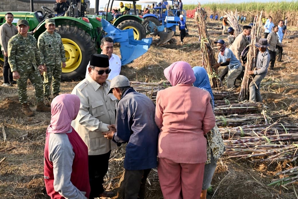 Prabowo Pimpin Panen Raya: Bukti TNI Hadir Perkuat Kemandirian Pangan