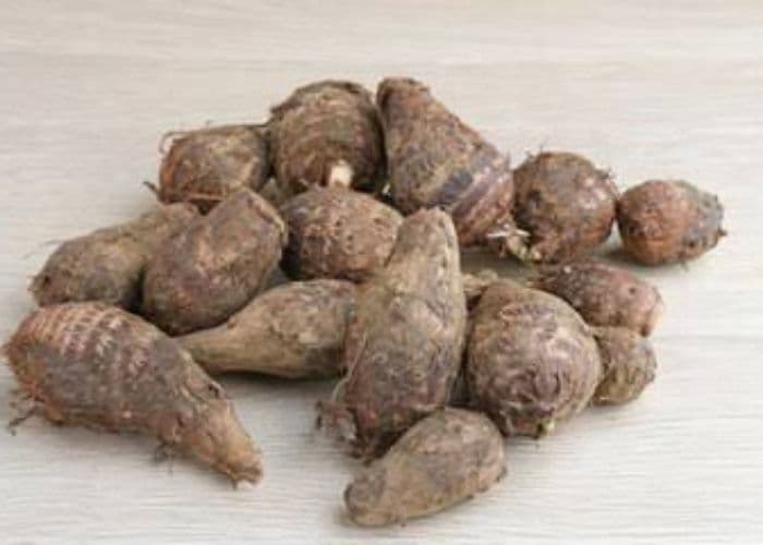 Cara Mengolah Kimpul agar Tidak Gatal di Mulut dan Tenggorokan, Jangan Asal Masak!