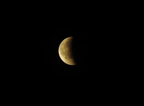Mikroba Bumi Ternyata Bisa Bertahan di Bulan