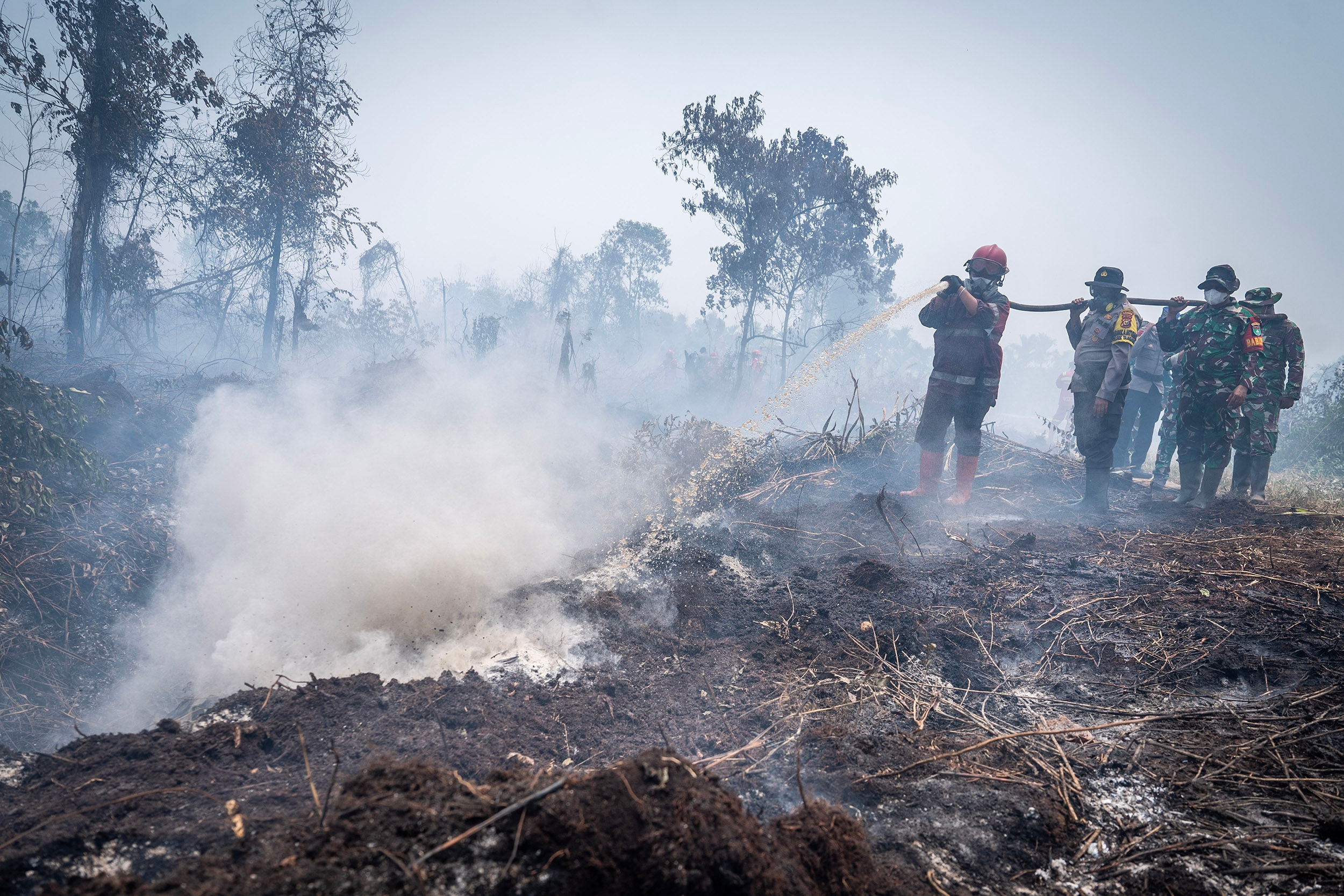 Komisi V DPR Dorong Revisi UU Kehutanan, Sanksi Pelaku Karhutla Bakal Diperberat