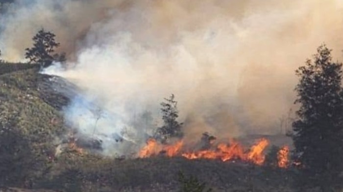 Status Tanggap Darurat Puncak Papua Tengah Ditetapkan 14 Hari, Ini Dampak Kebakaran dan Hujan Es