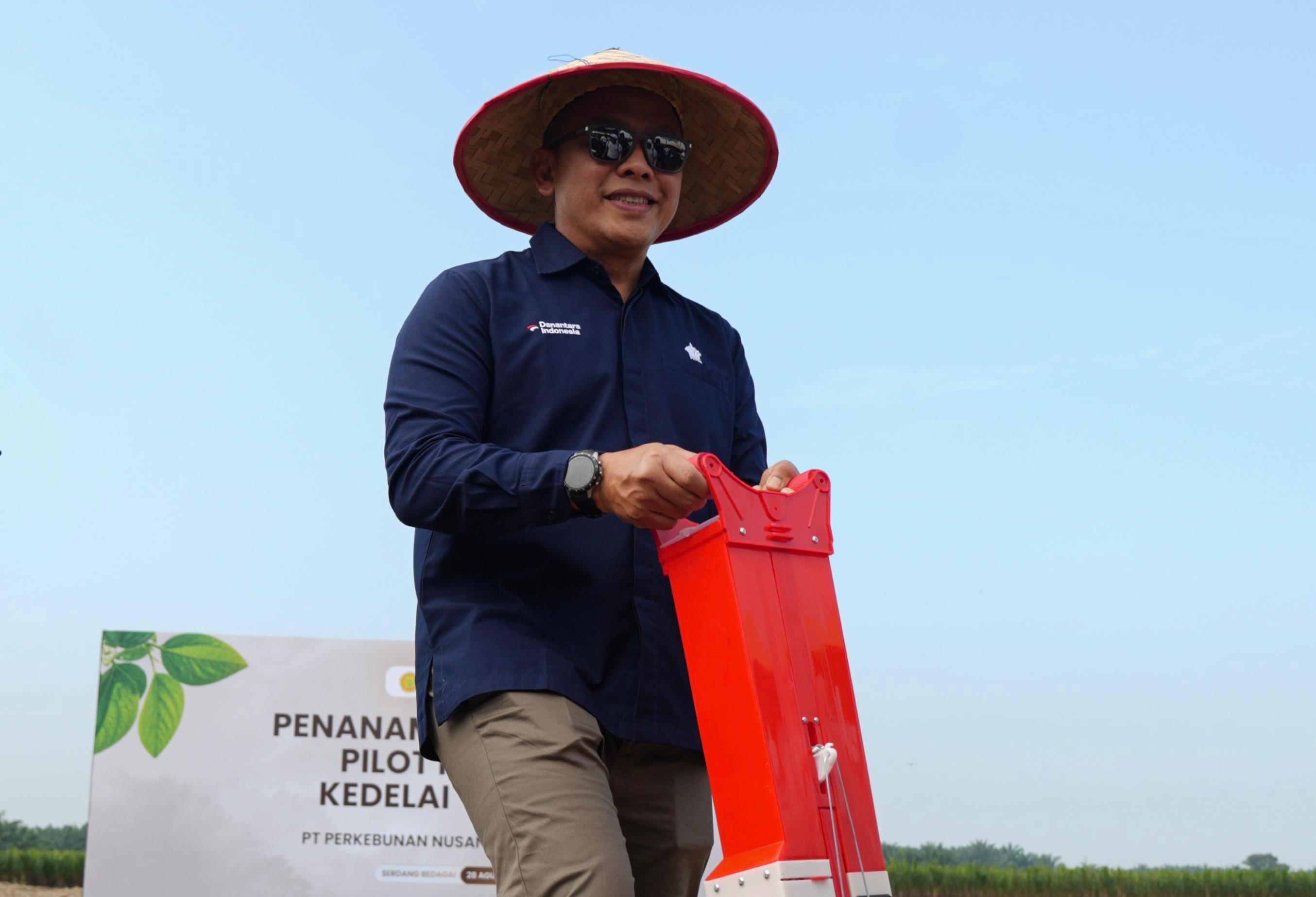 PTPN IV Uji Tanam Kedelai di 1.000 Ha Lahan Replanting Sawit