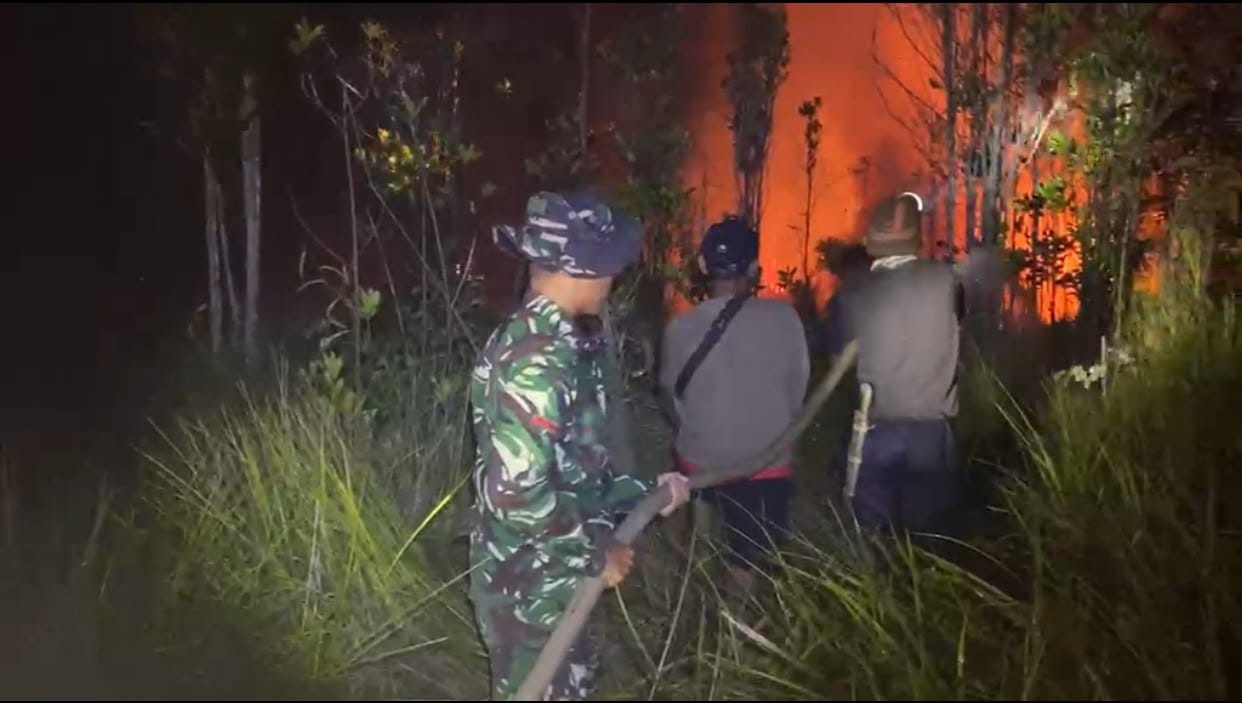 Pemerintah Berharap Hujan Membantu Penanganan Karhutla