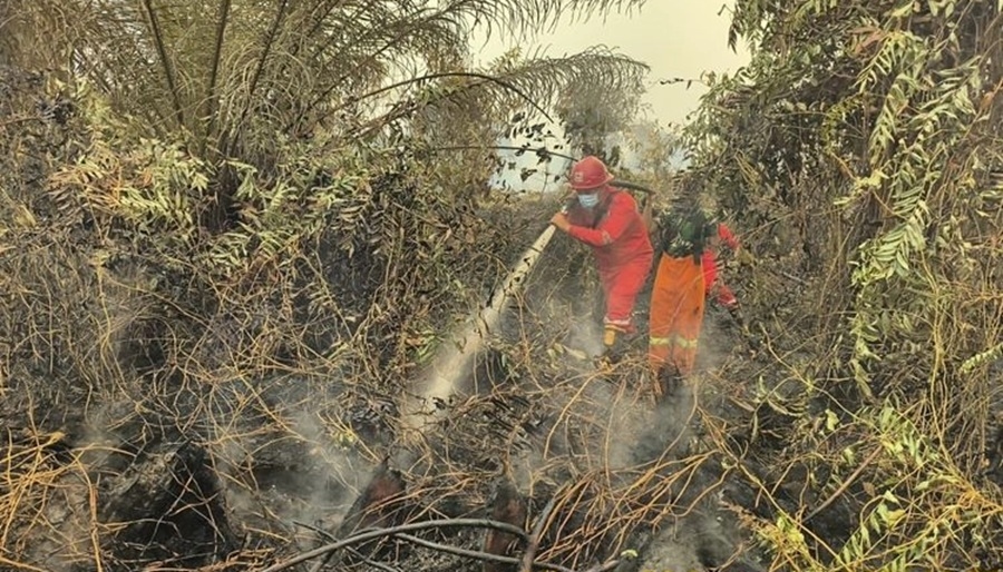 33 Wilayah Masih Terdampak, Penanganan Karhutla Terus Diperkuat