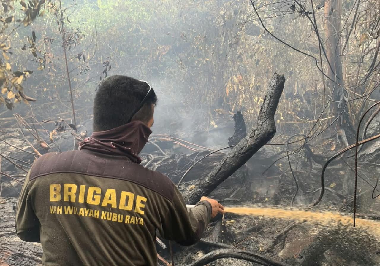 Hutan Terbakar, Banjir Mengancam: DPR Desak Pemerintah Evaluasi Izin Sawit dan Tambang