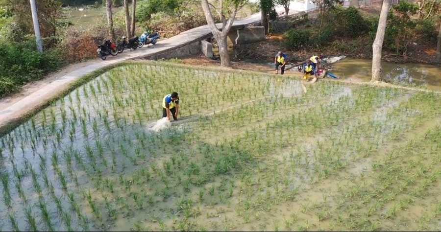 Perkuat Penanganan Kekeringan, 141.440 Hektare Sawah Diselamatkan