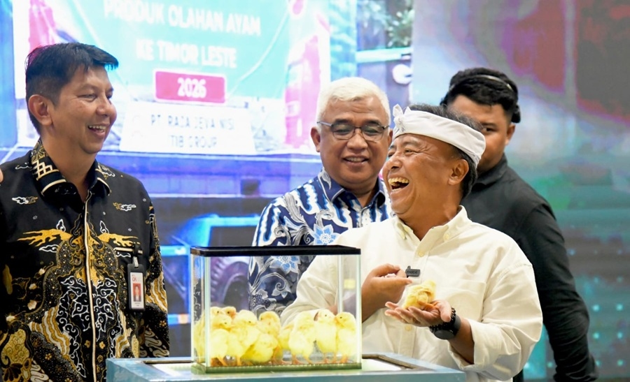 Sekda Herman Dorong Peternak Ayam Petelur di Jabar Naik Kelas