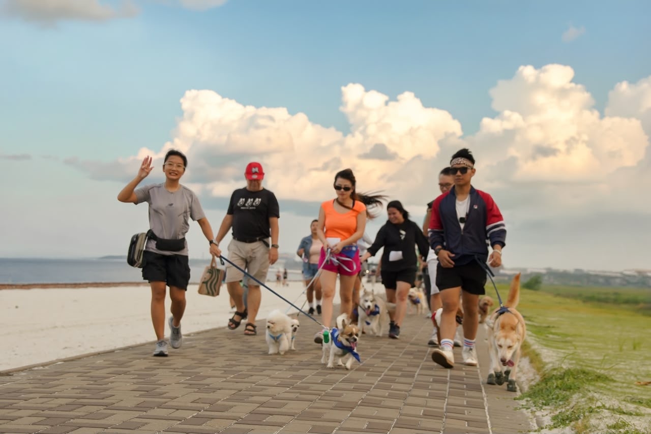 Ratusan Anjing Ikut Jogging di Tepi Laut PIK2, dari Golden Retriever hingga Rottweiler