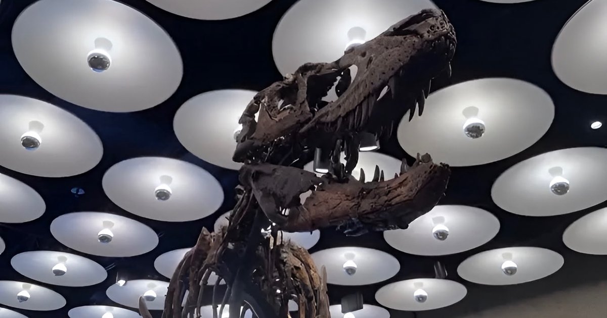 Fosil Dinosaurus Nanotyrannus Terjual Rp857 Miliar di Lelang New York