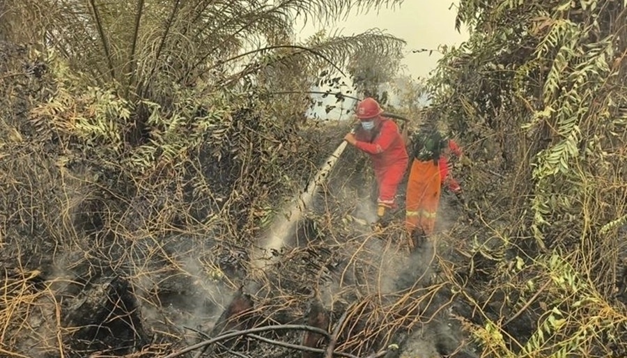 Sembilan Korporasi Jadi Tersangka Karhutla di Kalimantan, 223 Orang Dijerat