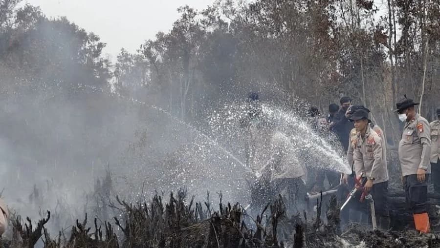BNPB Prioritaskan Pemadaman Karhutla di Kalteng dan Sumsel, Tanjung Puting Masih Terbakar