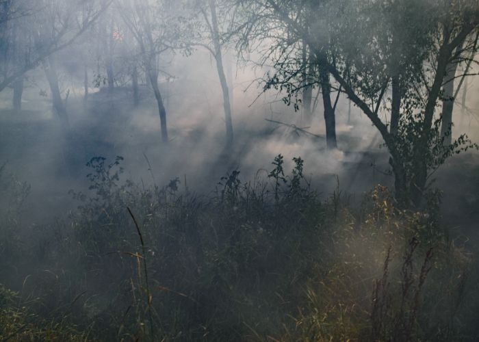 16 Daerah di Sulawesi Selatan Hadapi Ancaman Polusi Udara, Cek Daftarnya!