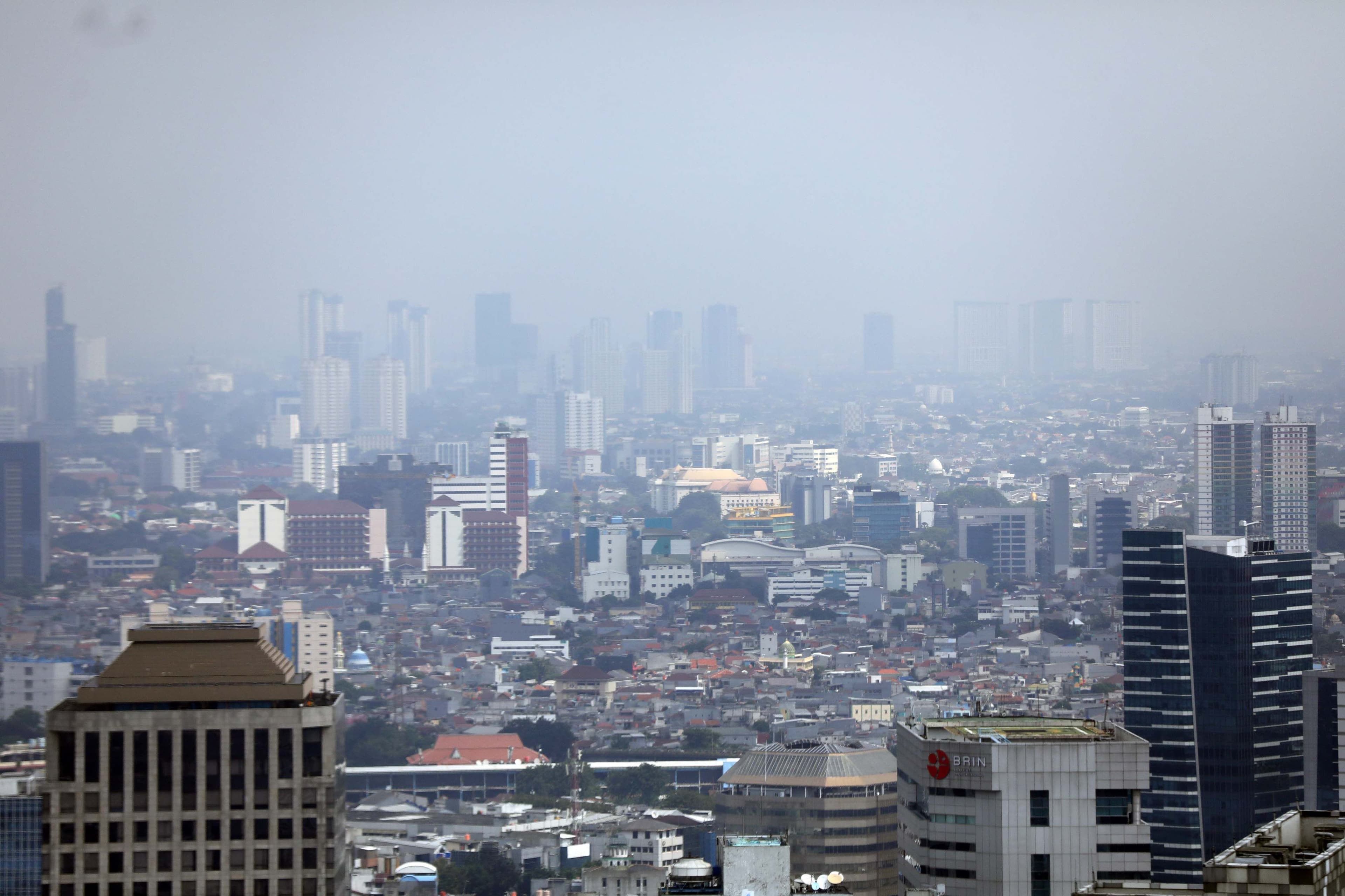 Mengapa Kabut Muncul di Pagi Hari