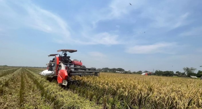 Genjot Kesejahteraan Petani, Sang Hyang Seri Terapkan Sistem Pembayaran Satu Hari