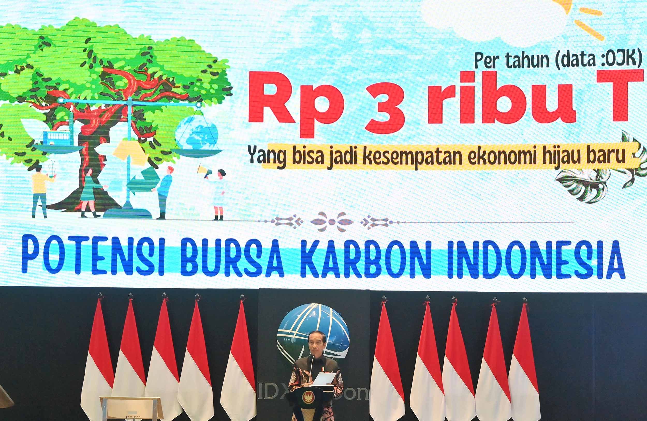 Berlaku 1 Juli 2026, Ini Skema dan Aturan Baru Perdagangan Karbon RI
