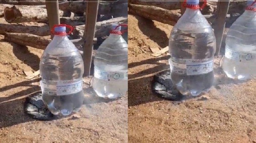 Warganet Heboh Galon PET Kembali Gosong Karena Panas Matahari