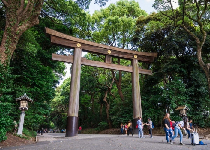 Cocok Buat Healing, Inilah 5 Rekomendasi Tempat Wisata Alam Di Tokyo, Jepang