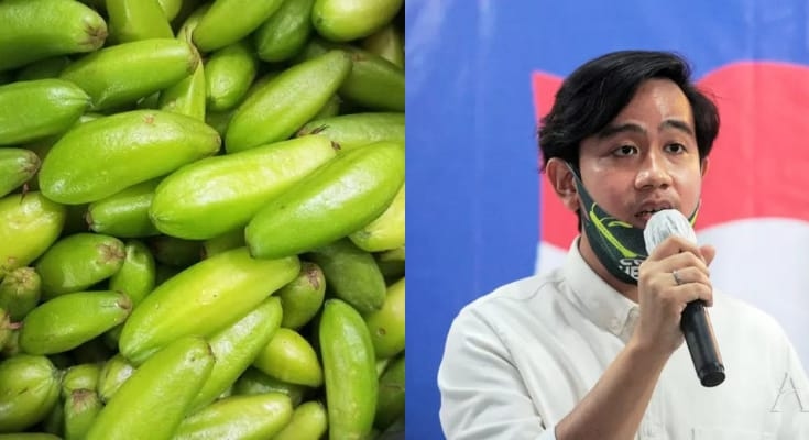 Arti Belimbing Sayur yang Viral di Media Sosial, Jadi Julukan untuk Cawapres Gibran Rakabuming