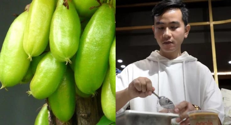 Kehebatan Belimbing Sayur yang Viral di TikTok, Jangan Macam-macam