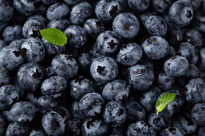 Ilmuwan Ungkap Misteri Warna Biru pada Blueberry dan Buah Berwarna Serupa