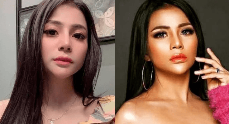 Profil Tisya Erni, Penyanyi Dangdut yang Diduga Jadi Pelakor Rumah Tangga WNA hingga Rebut Bayi Istri Sah