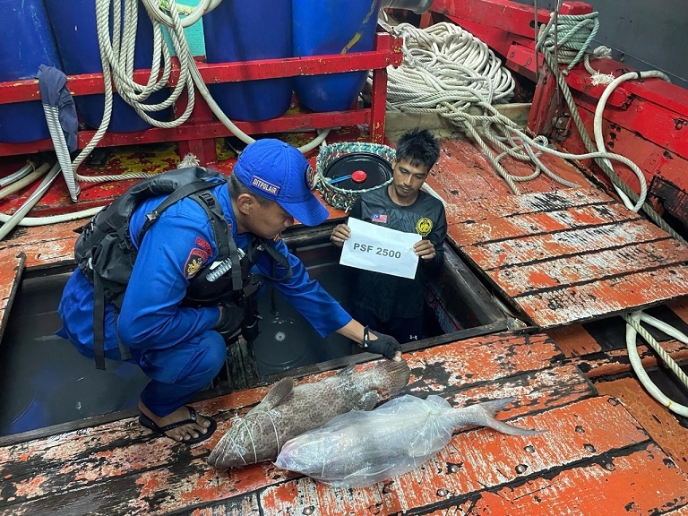 Curi Ikan, Baharkam Tangkap Kapal Berbendera Malaysia di Selat Malaka