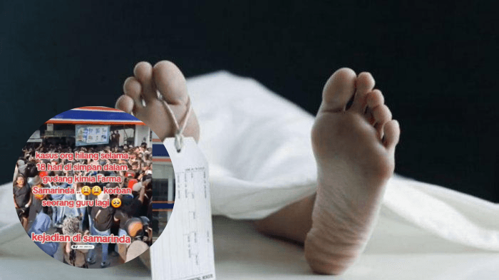 Siapa Itu Bertha Mini Jama? Wanita yang Hilang dan Ditemukan Tewas di Gudang Kimia Farma Samarinda