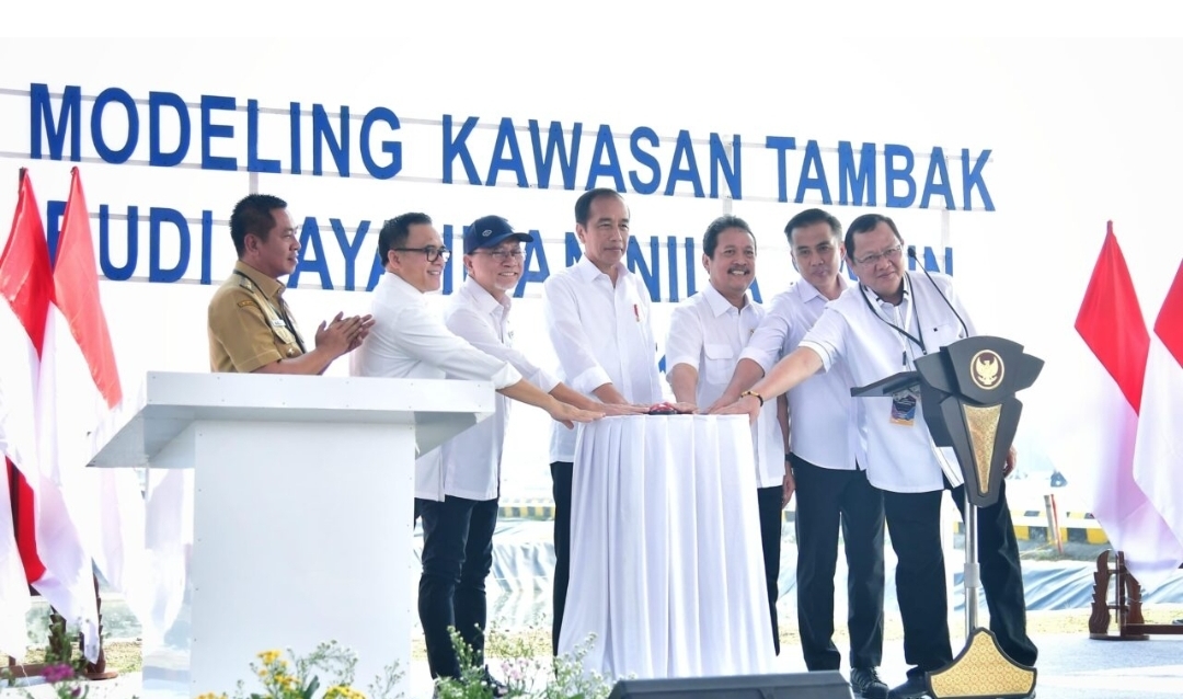 Jokowi Ingin Tambak Udang Terbengkalai di Sepanjang Pantura Segera Dimanfaatkan
